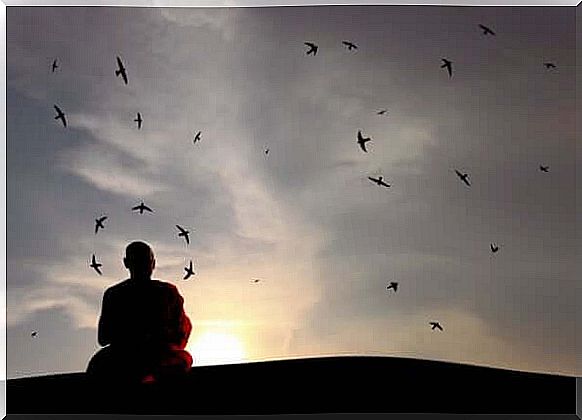 monk meditates in front of an evening sky full of birds