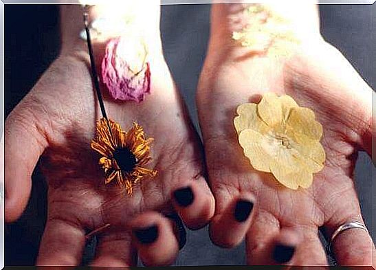 Hands with flowers