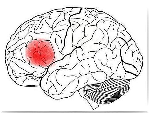 brain with the broca area highlighted in red