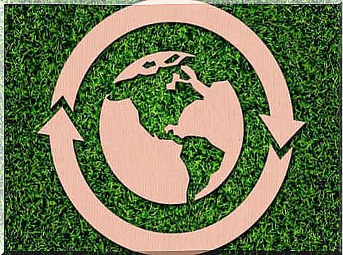 Circular economy - environmentally friendly and sustainable