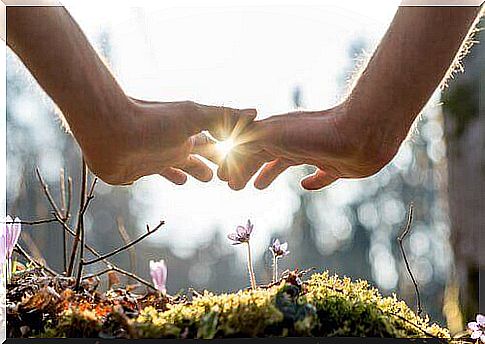 Two hands over flowers growing on moss