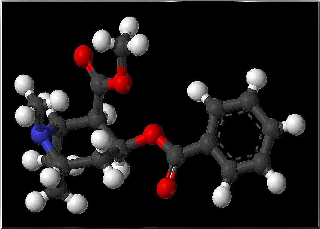 Cocaine molecule