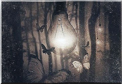 Butterflies around light bulb