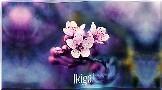 Ikigai flowers