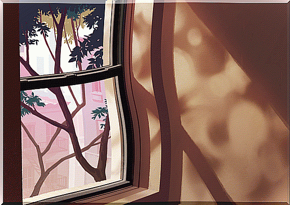 Window with trees outdoors