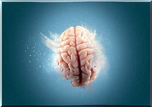 The effects cocaine has on the brain