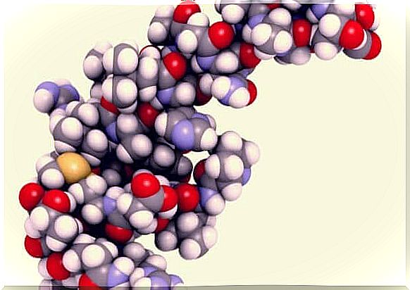 The hormone hypocretin and its many functions