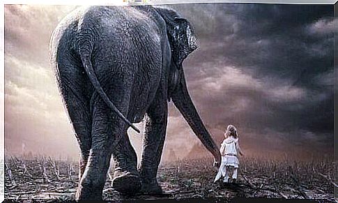 Elephant and little girl