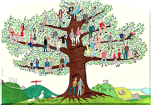 What can you learn from your family tree?  It's interesting!